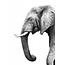 Olifant