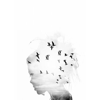 Birds dream