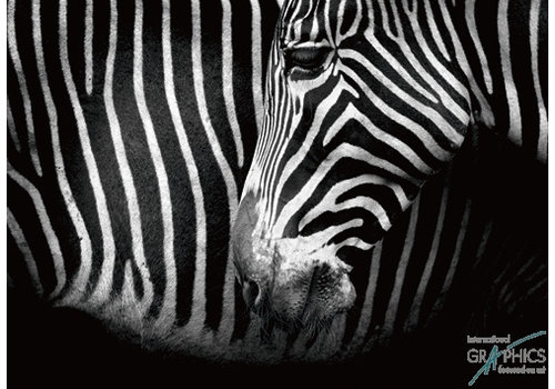 Marina Cano - Closer