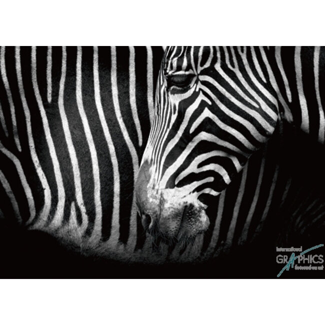 Marina Cano - Closer