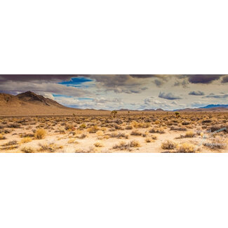 Open Range