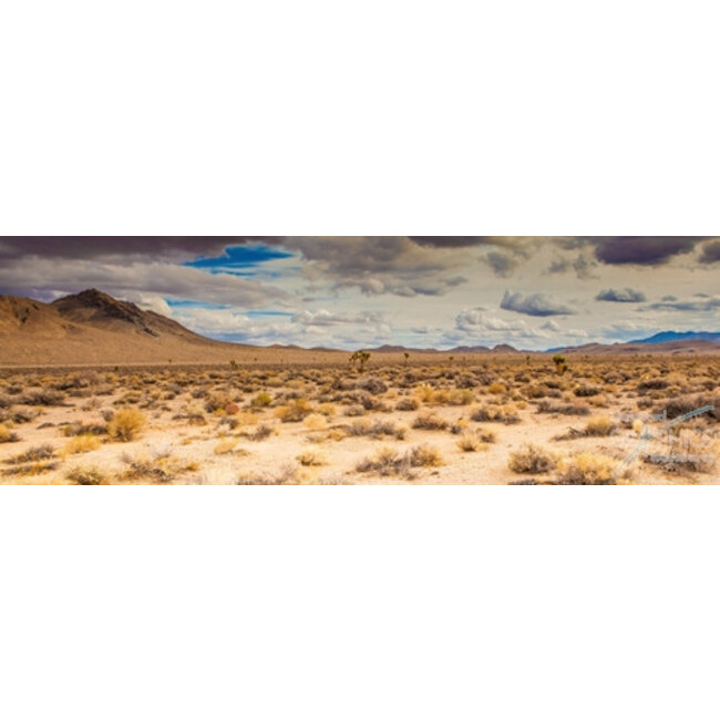 Open Range