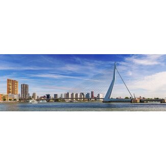 Erasmusbrug bij dag