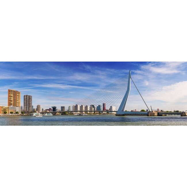 Erasmusbrug bij dag