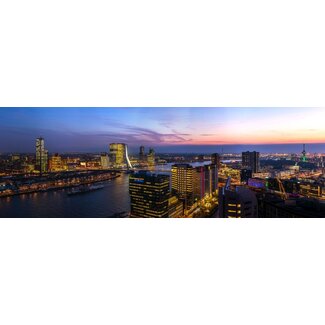 Erasmusbrug en Euromast | Rotterdam skyline