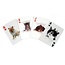 Kikkerland 3D speelkaarten-katten