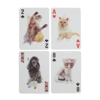 Kikkerland 3D speelkaarten-katten