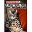 See this cat... it doesn't give a fuck about your birthday