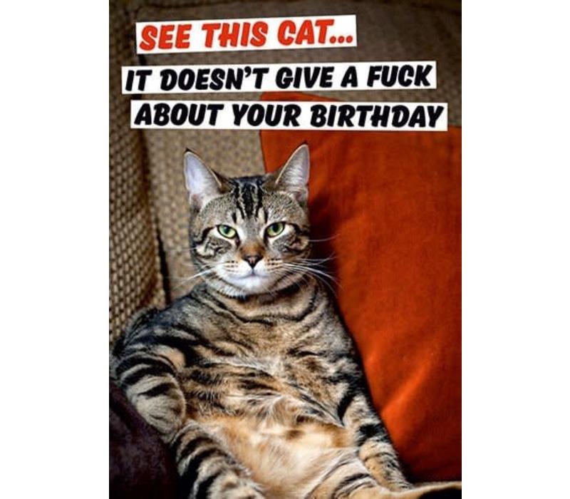 See this cat... it doesn't give a fuck about your birthday