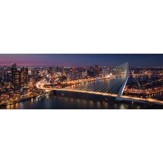 Metropolis Panorama | Rotterdam skyline