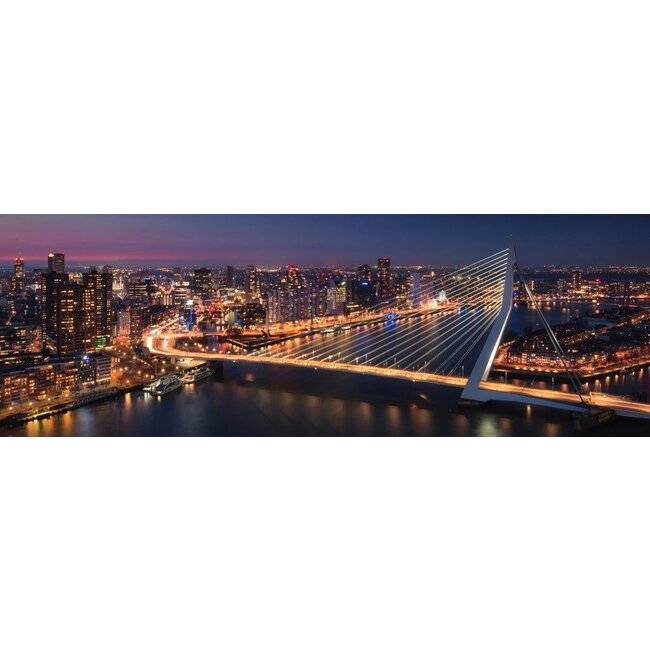 Metropolis Panorama | Rotterdam skyline