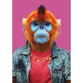 Golden Snub-nosed Monkey