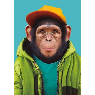 Chimpanzee