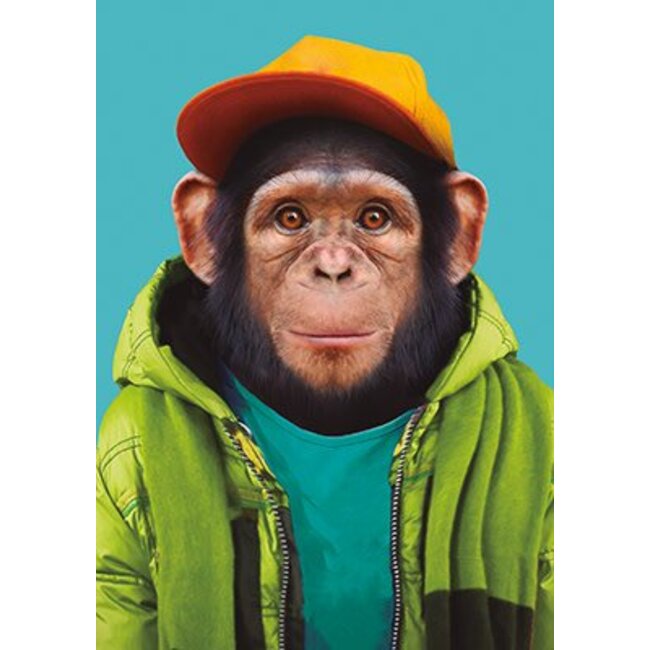 Chimpansee