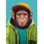 Chimpanzee
