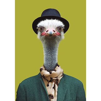 Ostrich 2
