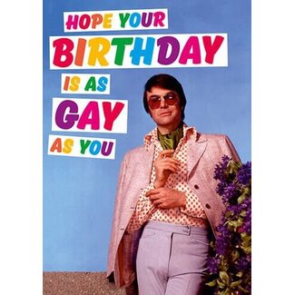 Hope your birthday is as gay as you
