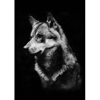 Wolf A4