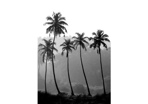 Palm trees 21x29,7 - A4