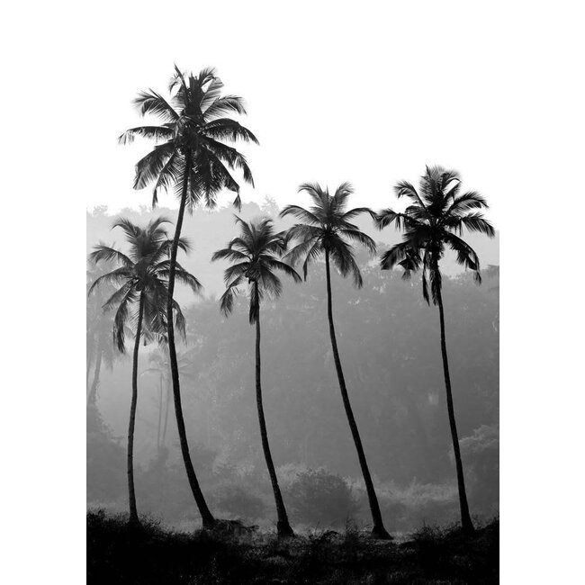 Palm trees 21x29,7 - A4
