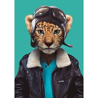 Luipaard cub