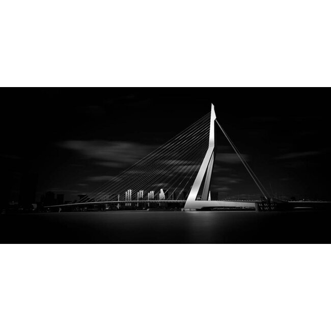 Erasmusbrug Zwart wit | Rotterdam skyline