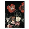 Poster Red Poppy – 70x100