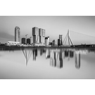 Rotterdam inside out