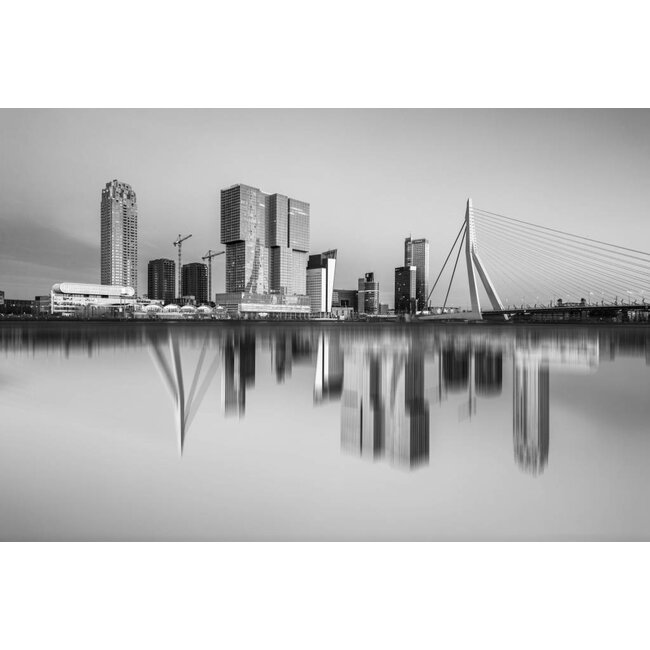 Rotterdam inside out