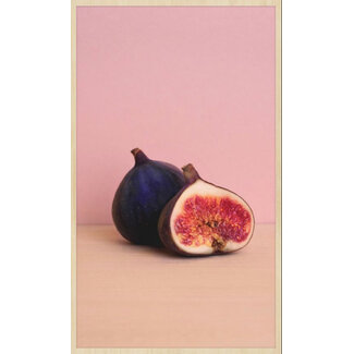 botanical stories 001 - Forex met lijst