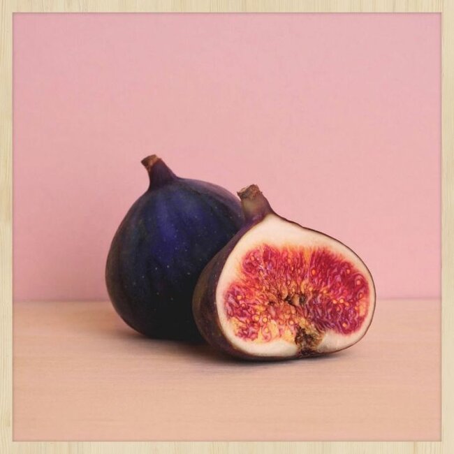 Wandkraft botanical stories 001 - Forex met lijst