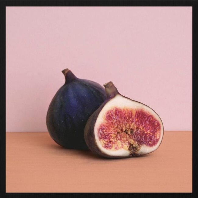 Wandkraft botanical stories 001 - Forex met lijst