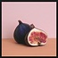 Wandkraft botanical stories 001 - Forex met lijst