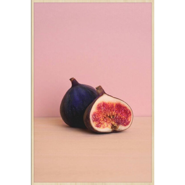 Wandkraft botanical stories 001 - Forex met lijst