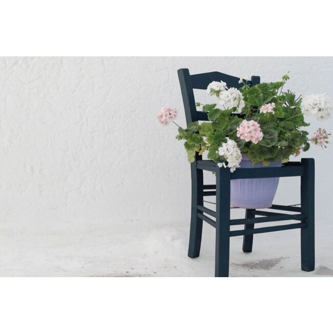 Wandkraft botanical stories 005 - Dibond