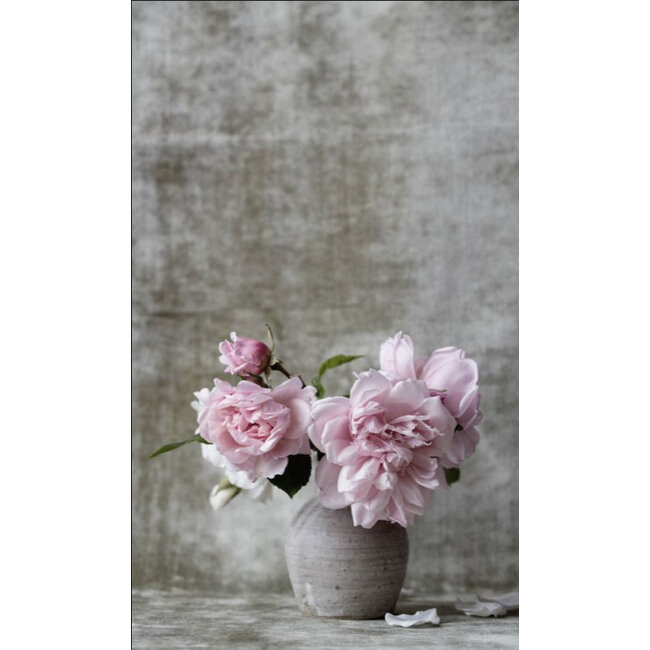 Wandkraft botanical stories 006 - Dibond