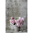 Wandkraft botanical stories 006 - Dibond