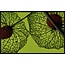 Wandkraft botanical stories 008 - Forex met lijst