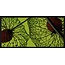 Wandkraft botanical stories 008 - Forex met lijst