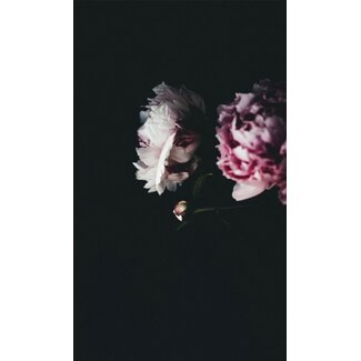 Wandkraft botanical stories 009 - Dibond