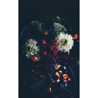 botanical stories 011 - Dibond