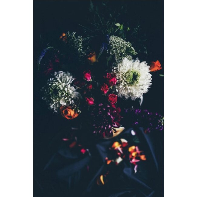 Wandkraft botanical stories 011 - Dibond