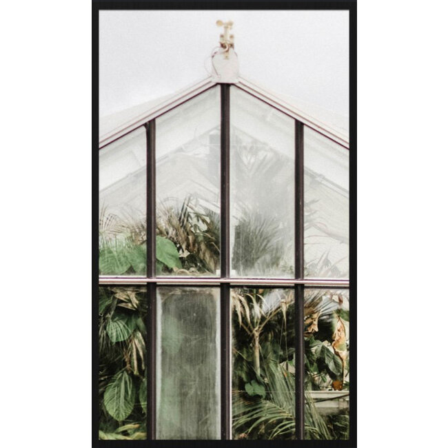 Wandkraft botanical stories 012 - Forex met lijst