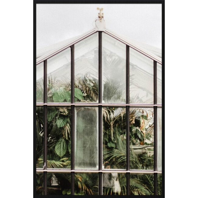 Wandkraft botanical stories 012 - Forex met lijst