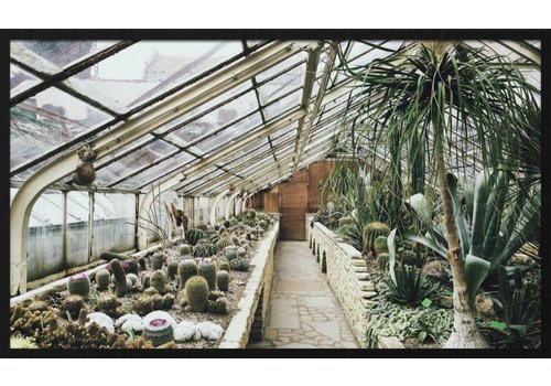 botanical stories 013 - Forex met lijst