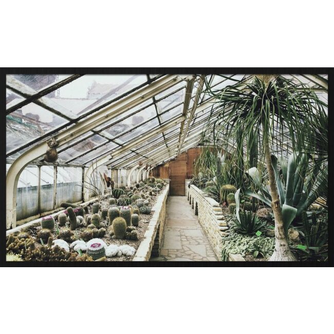 Wandkraft botanical stories 013 - Forex met lijst