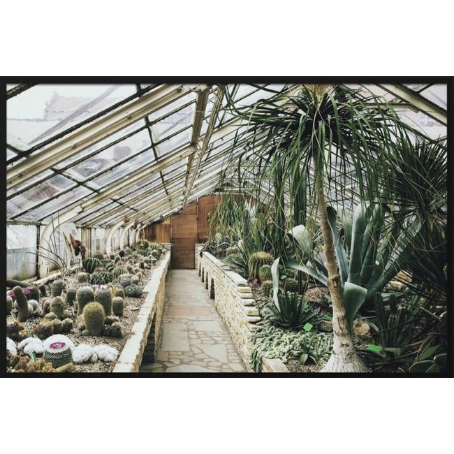 Wandkraft botanical stories 013 - Forex met lijst