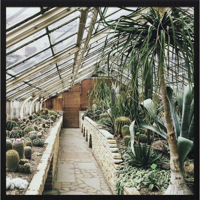 Wandkraft botanical stories 013 - Forex met lijst