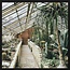 Wandkraft botanical stories 013 - Forex met lijst