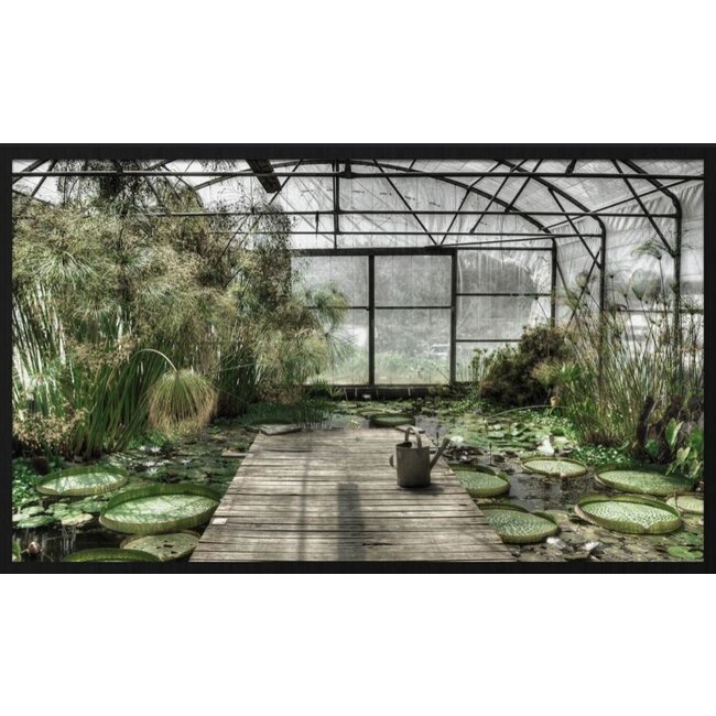 Wandkraft botanical stories 014 - Forex met lijst
